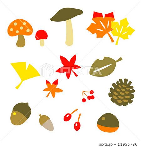 秋 キノコ 落ち葉 木の実のイラスト素材