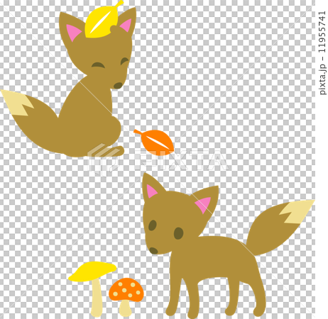 Fox  11955741