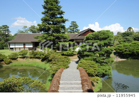 京都　夏の桂離宮 11955945