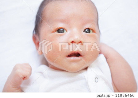 生後27日目 新生児 赤ちゃん 生後27日目 新生児 赤ちゃん 11956466