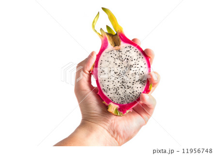 Male hand holding dragon fruit 11956748