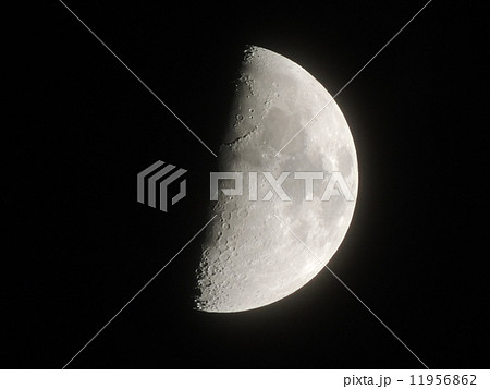上弦の月 11956862
