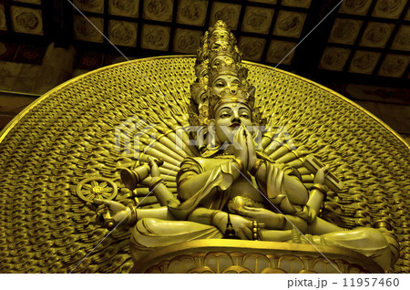 Thousand hand Buddha Thousand hand Buddha 11957460