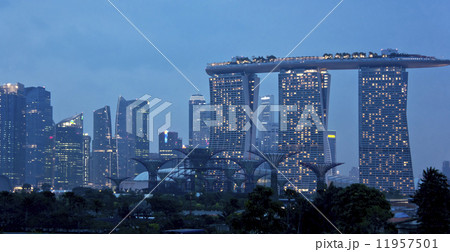 Garden city 11957501