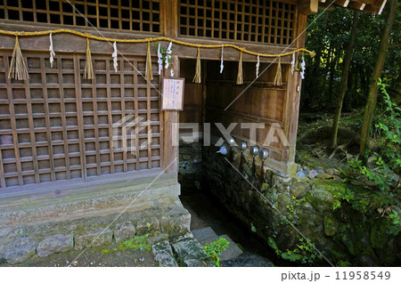 宇治七名水の桐原水 11958549