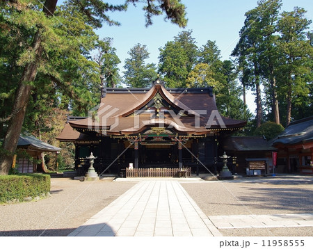 香取神宮 香取神宮 11958555