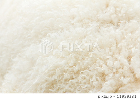 close up of lambswool texture  11959331