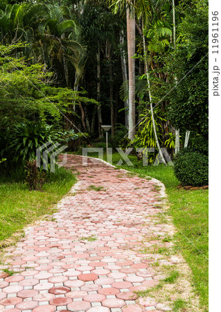 Pathway in the garden Pathway in the garden 11961196