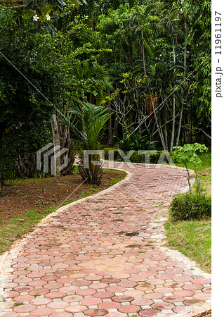 Pathway in the garden 11961197