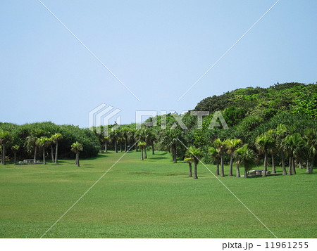 台湾 最南端 墾丁国家公園 鵝鑾鼻公園(がらんび公園) 台湾 最南端 墾丁国家公園 鵝鑾鼻公園(がらんび公園) 11961255