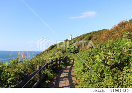 三崎公園 11961489