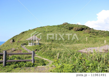 三崎公園 11961491