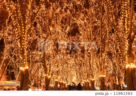 仙台光のページェントのイルミネーション 仙台光のページェントのイルミネーション 11961563