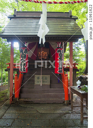 鎮守の森の小さな神社 鎮守の森の小さな神社 11961622