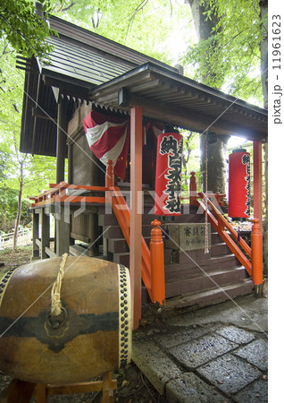 鎮守の森の小さな神社 11961623