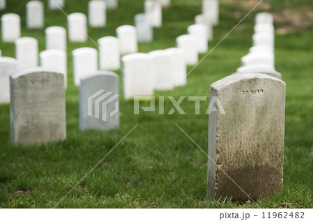 arlington cemetery graveyard arlington cemetery graveyard 11962482