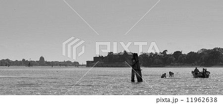 Venice view from laguna 11962638