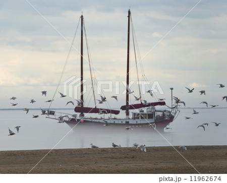 Ship in the fog background in Tadoussac Harbor 11962674