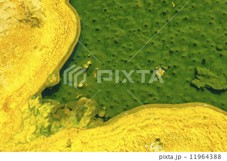 yellowstone hot springs natural background 11964388
