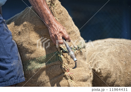 Asian male hands holding sack in a harbor 11964431
