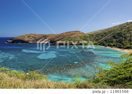 Hawaii Oahu hanauma bay view Hawaii Oahu hanauma bay view 11965566