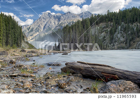 Yoho Park Wapta falls 11965593