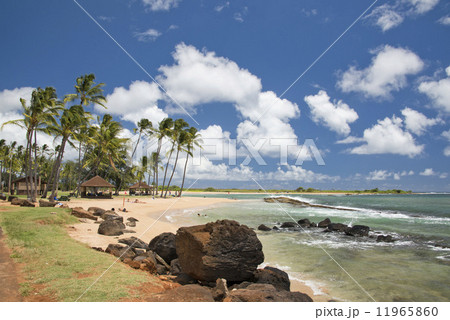 Hawaii Poipu beach landscape 11965860