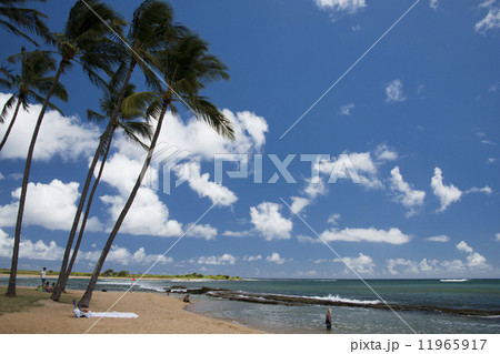 Hawaii Poipu beach landscape 11965917