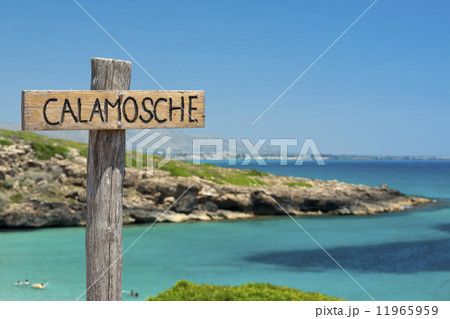 calamosche beach in Sicily Italy calamosche beach in Sicily Italy 11965959