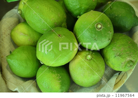 青いレモン 青いレモン 11967564