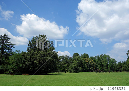 都立野川公園 11968321