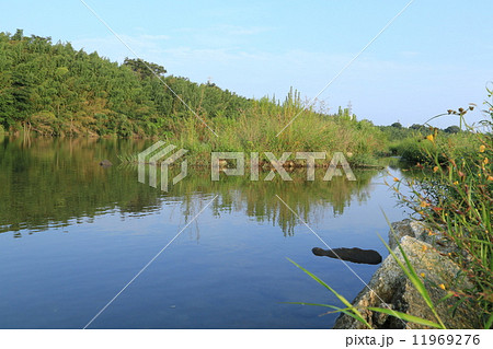 夏の矢作川 11969276