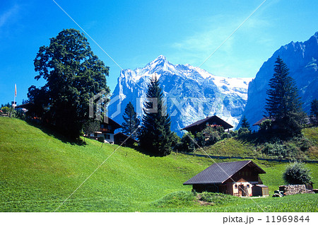 夏の休日 11969844