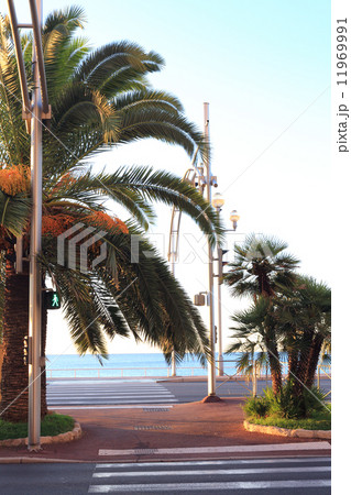 朝のニースの海岸通と海 朝のニースの海岸通と海 11969991