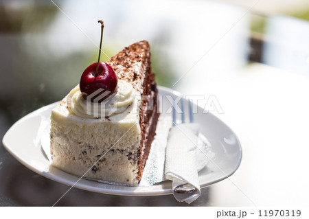 Cheesecake with Chocolate 11970319
