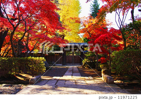 平林寺 平林寺 11971225