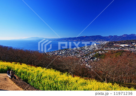 吾妻山公園 吾妻山公園 11971236
