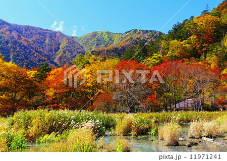 日光湯本紅葉 11971241