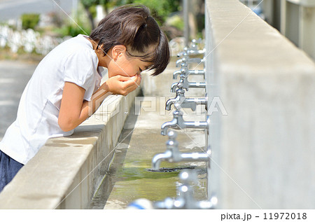 水を飲む女の子 水を飲む女の子 11972018