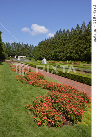 神奈川　相模原公園　フランス式庭園　９月 11974533