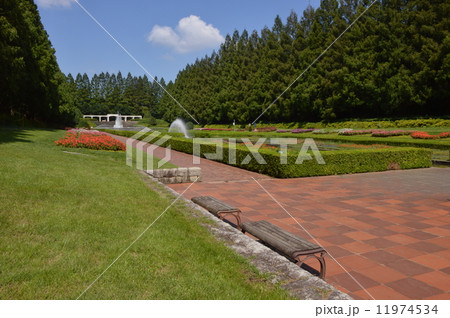 神奈川　相模原公園　フランス式庭園　９月 11974534