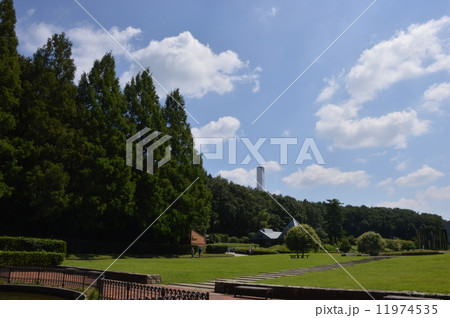 神奈川　相模原公園　フランス式庭園　９月 11974535