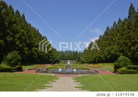 神奈川　相模原公園　フランス式庭園　９月 11974536
