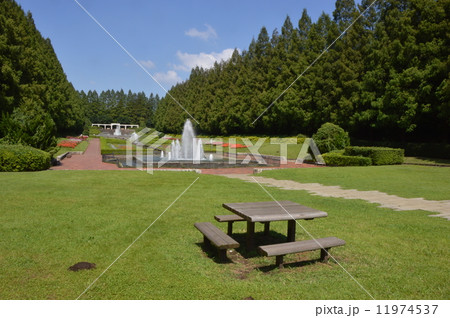 神奈川　相模原公園　フランス式庭園　９月 11974537