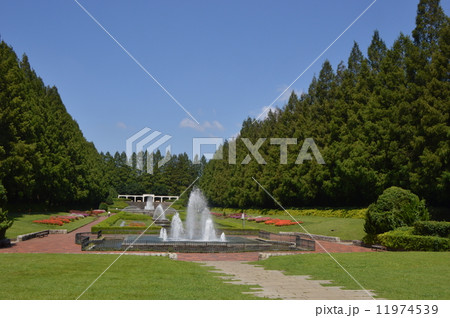 神奈川　相模原公園　フランス式庭園　９月 11974539