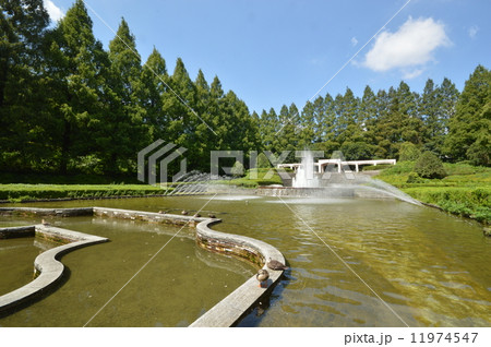 神奈川　相模原公園　フランス式庭園　９月 11974547