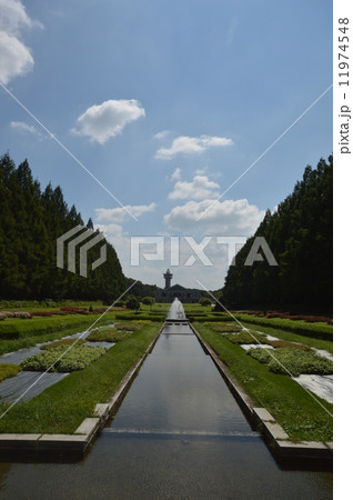 神奈川　相模原公園　フランス式庭園　９月 11974548