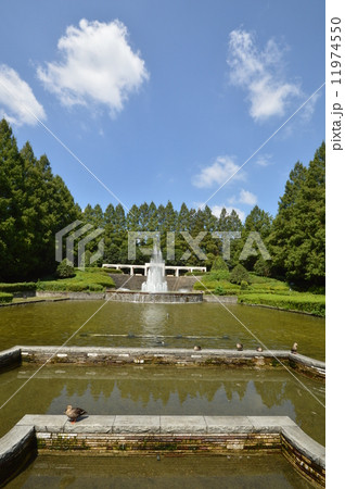 神奈川　相模原公園　フランス式庭園　９月 11974550