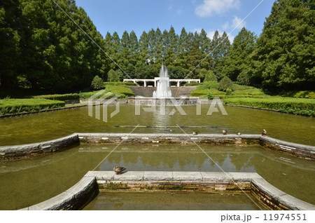 神奈川　相模原公園　フランス式庭園　９月 11974551