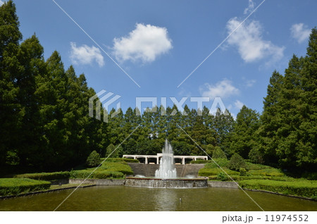 神奈川　相模原公園　フランス式庭園　９月 11974552